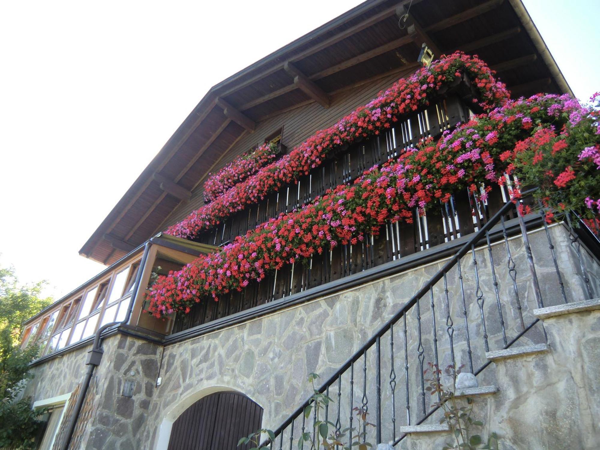 Alpenblick Bed & Breakfast Vipiteno Eksteriør bilde