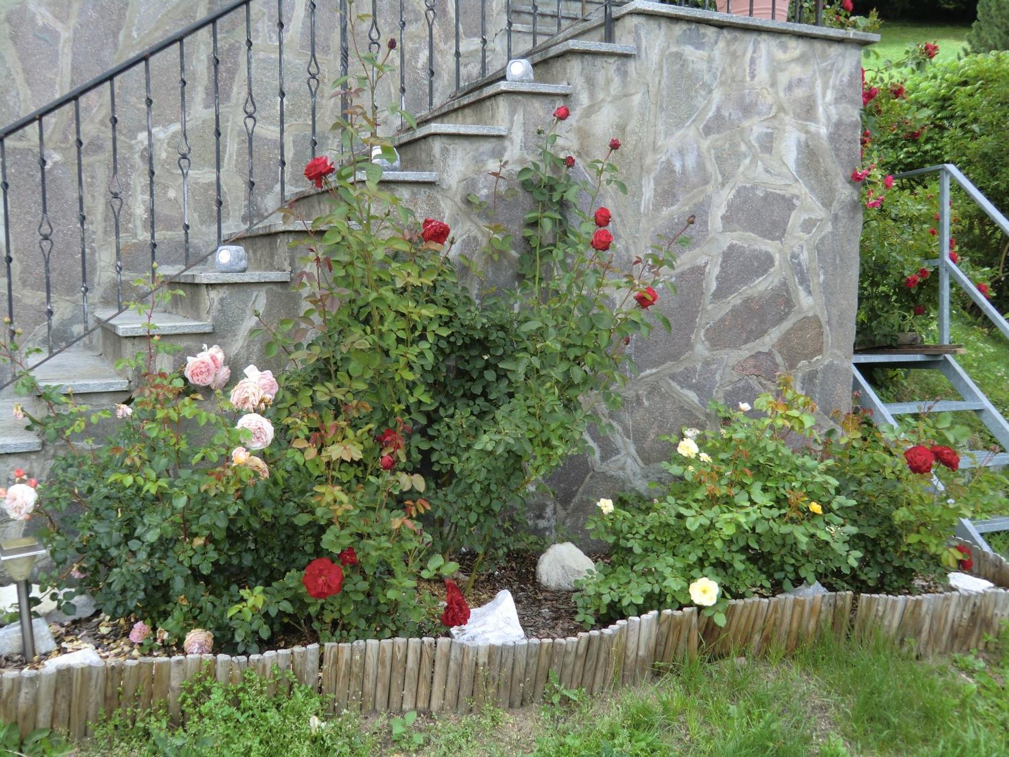 Alpenblick Bed & Breakfast Vipiteno Eksteriør bilde